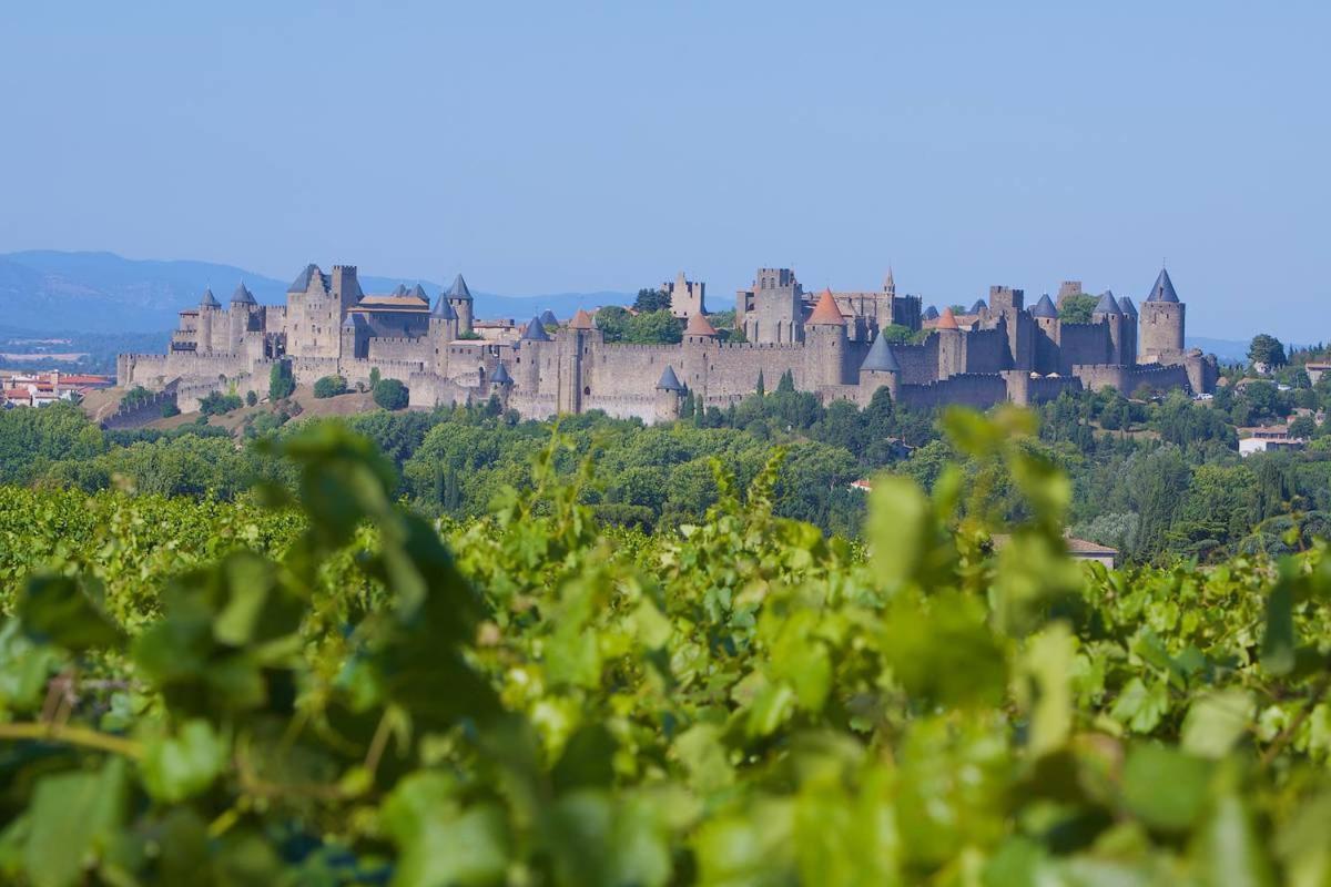 Tout Confort ! Climatisation, Centre-Ville, Parking, Terrasse, Wifi, Netflix Carcassonne Zewnętrze zdjęcie
