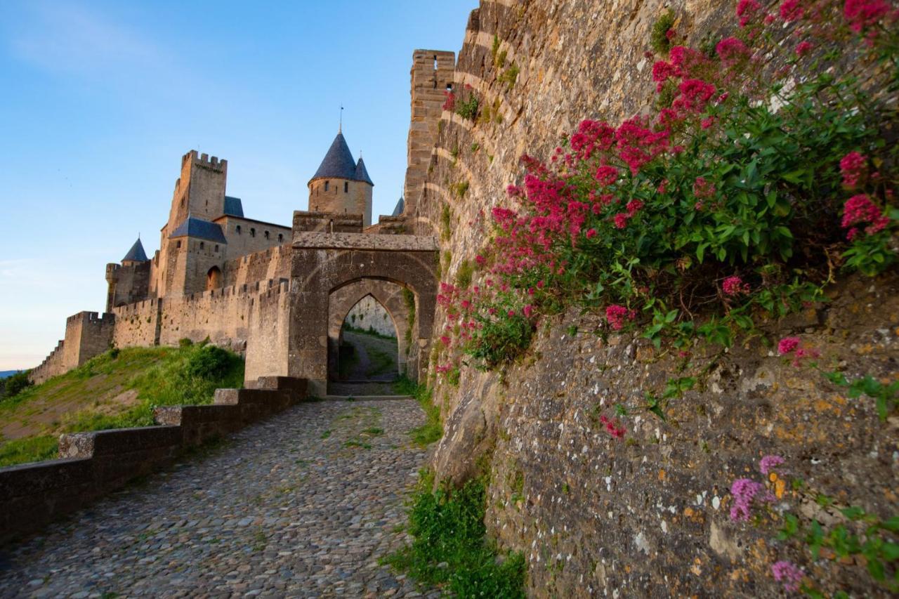 Tout Confort ! Climatisation, Centre-Ville, Parking, Terrasse, Wifi, Netflix Carcassonne Zewnętrze zdjęcie