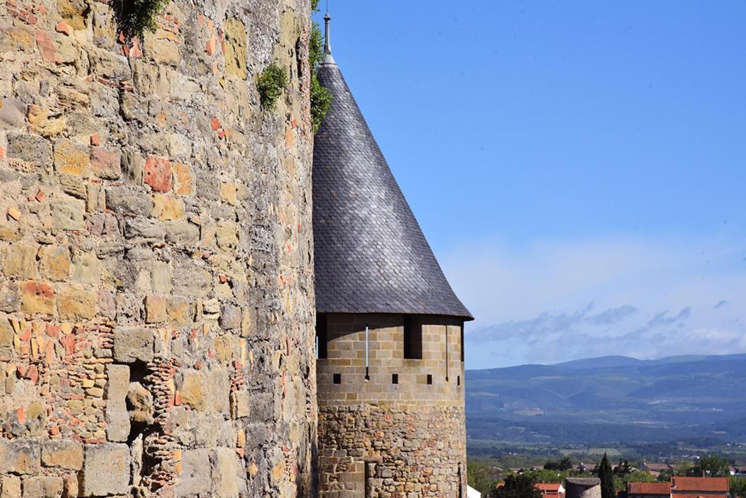 Tout Confort ! Climatisation, Centre-Ville, Parking, Terrasse, Wifi, Netflix Carcassonne Zewnętrze zdjęcie