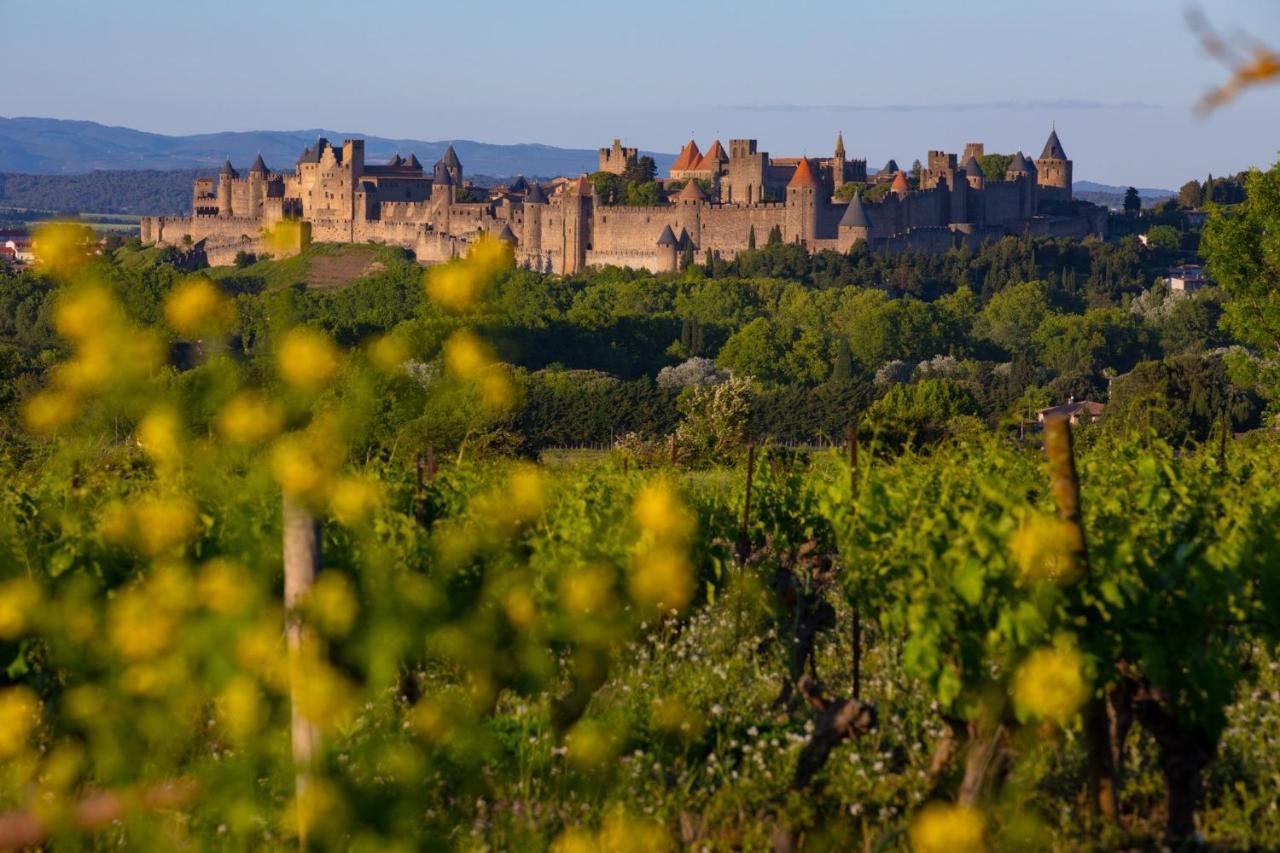 Tout Confort ! Climatisation, Centre-Ville, Parking, Terrasse, Wifi, Netflix Carcassonne Zewnętrze zdjęcie