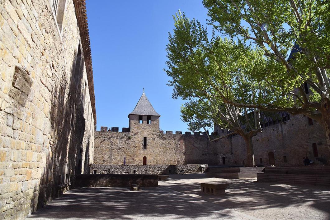 Tout Confort ! Climatisation, Centre-Ville, Parking, Terrasse, Wifi, Netflix Carcassonne Zewnętrze zdjęcie